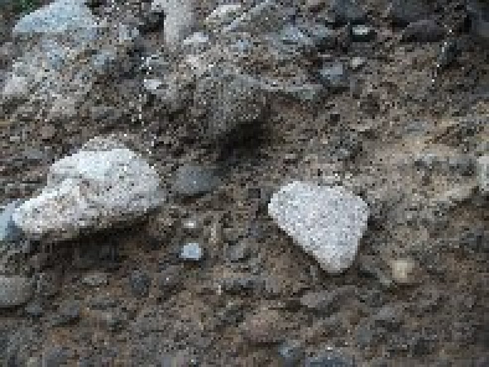 aiola-20101226 010